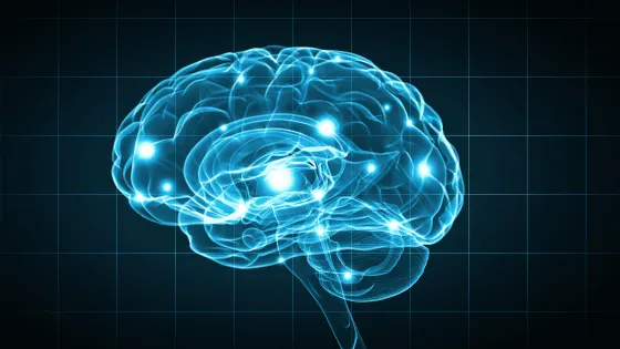 The Future of the Mind in a Digital Society | Lecture and conversation with lawyer and behavioral neuroscientist Emily Murphy and brain scientist Alan Sanfey 
