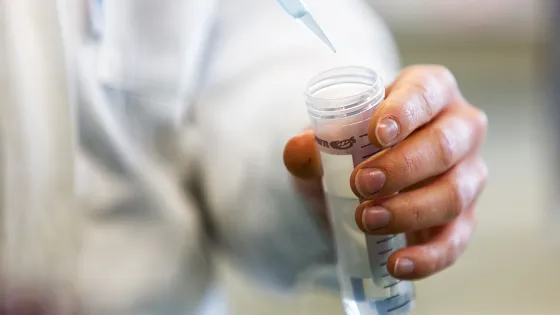 laboratorium microbiologie