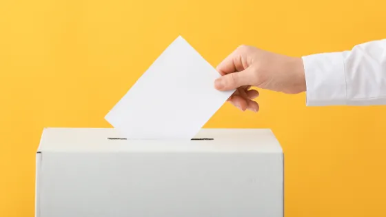 Picture of a voter