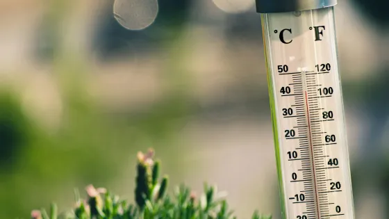 Thermometer zomer