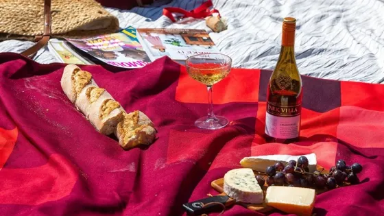 5x De leukste picknickplekken in de buurt van de campus