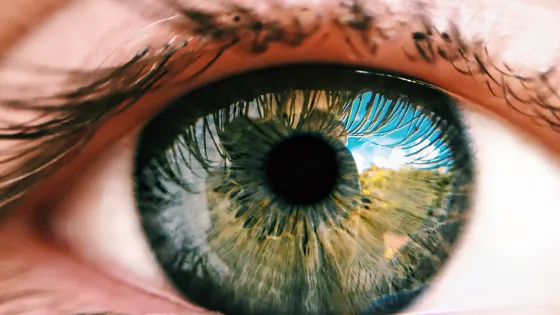 Hereditary eye disease treated with investigational gene therapy